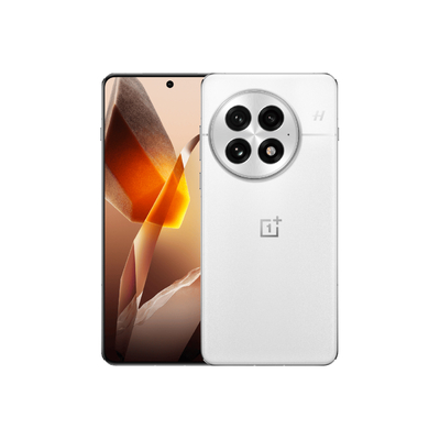 OnePlus 13